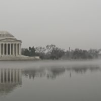 DC in the Mist