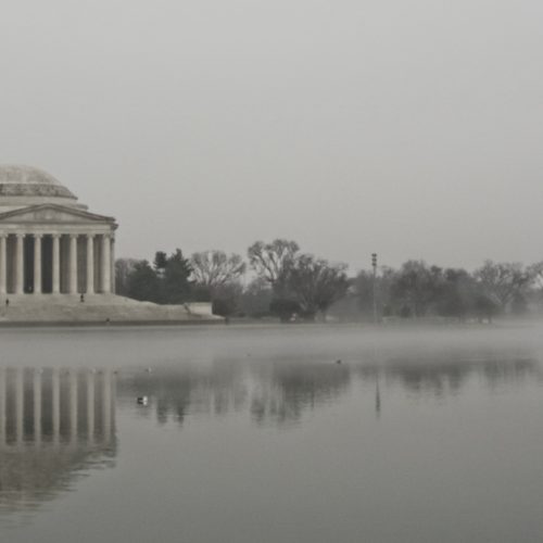 DC in the Mist