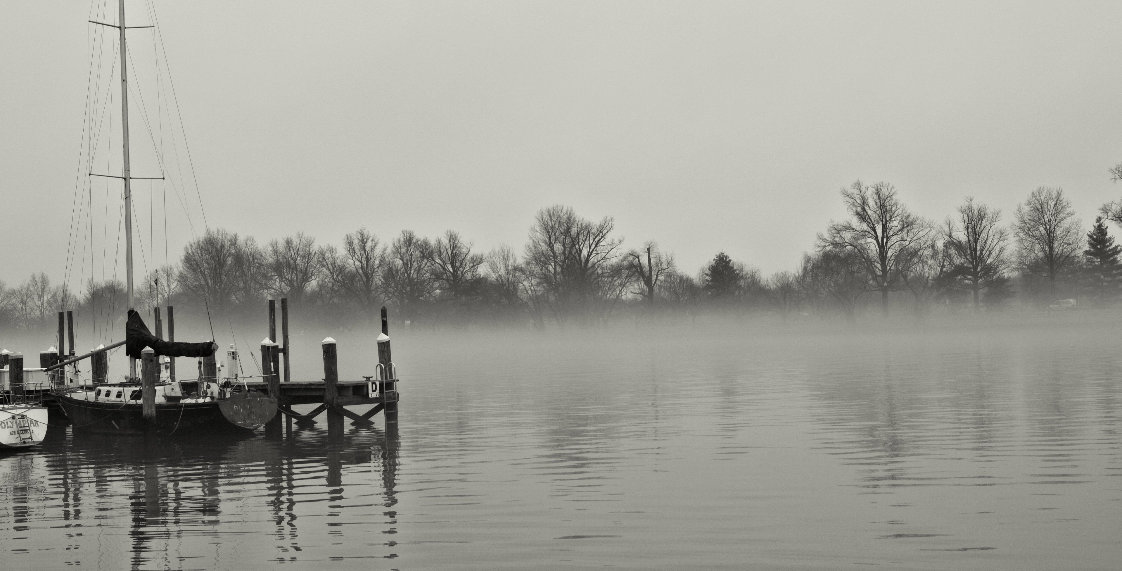 Taken from DC fish market near the marina