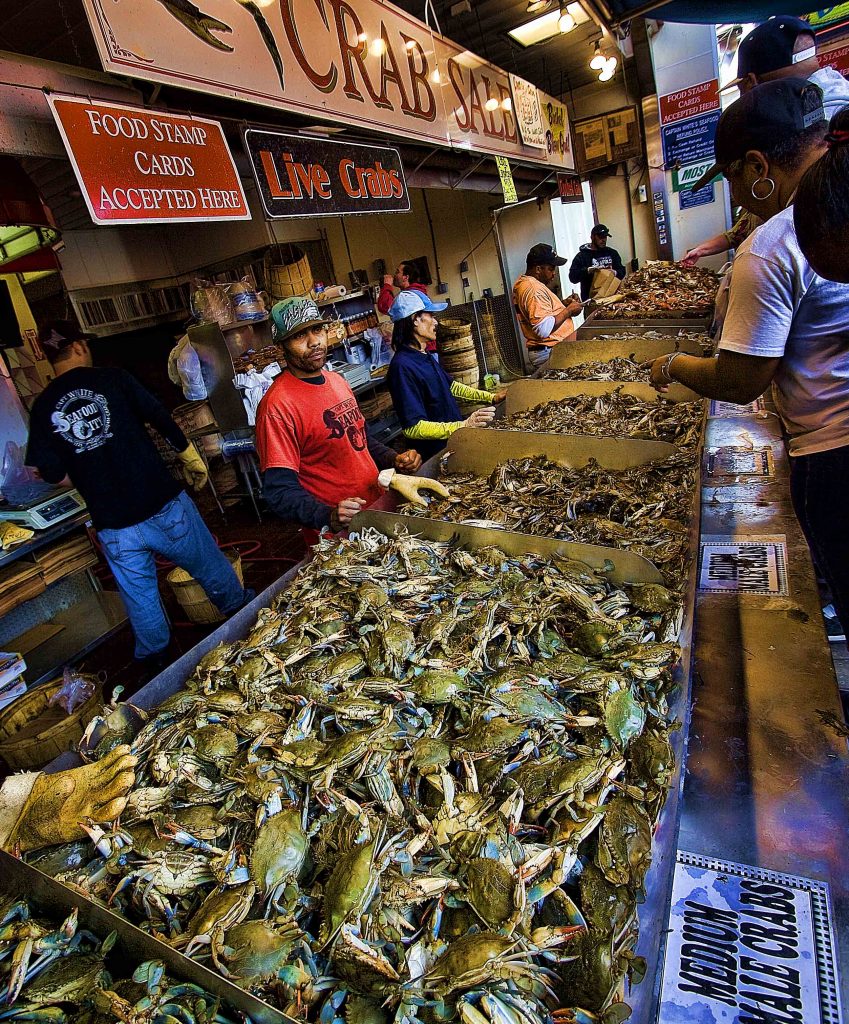 Maryland Blue Crab at DC Fish Market