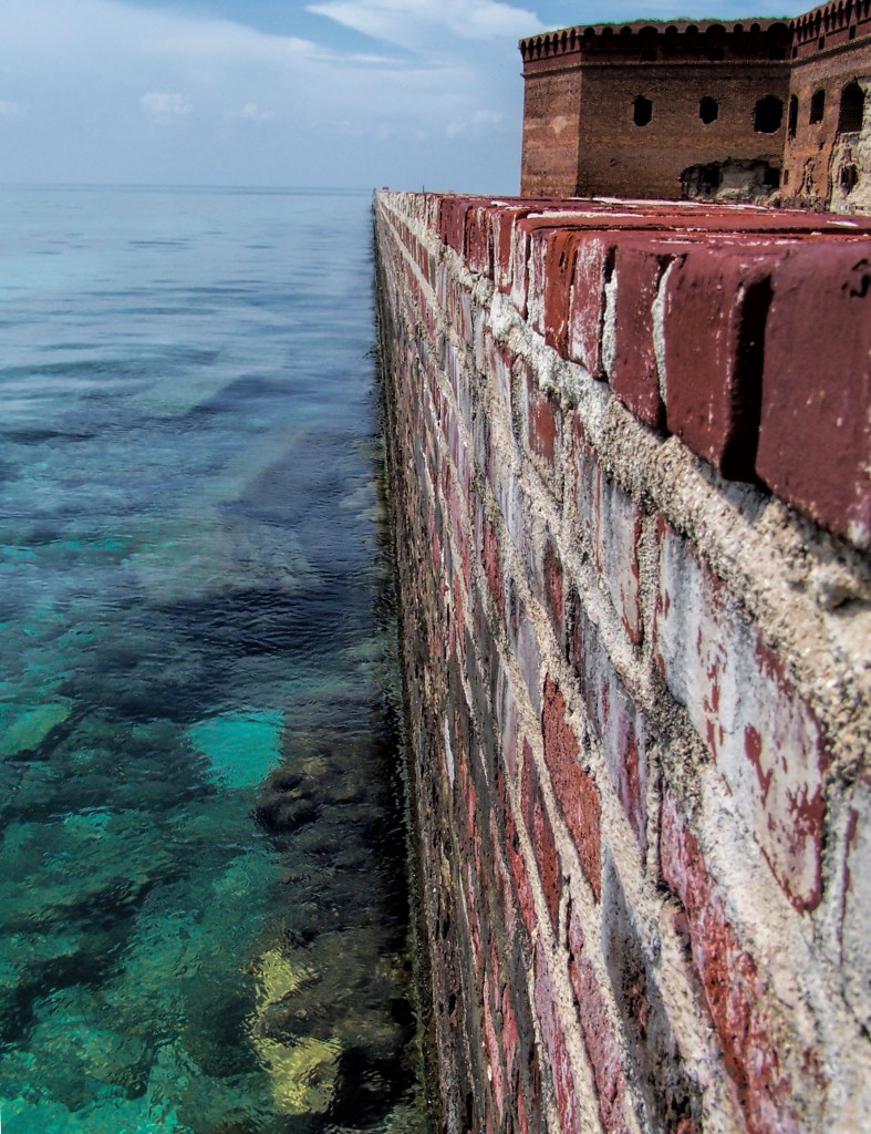 Reef along the mote