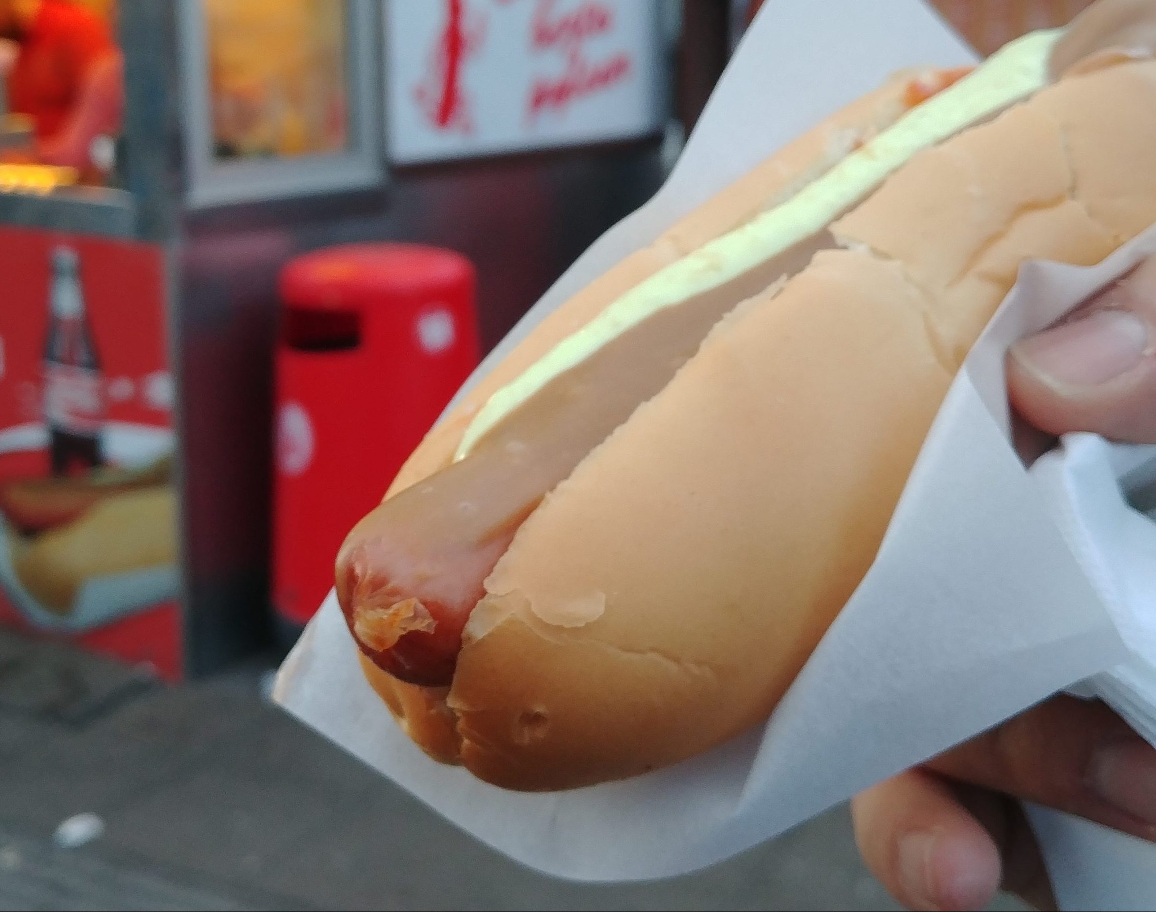 5 Reasons You Shouldn’t Try  Hot Dog in Iceland.